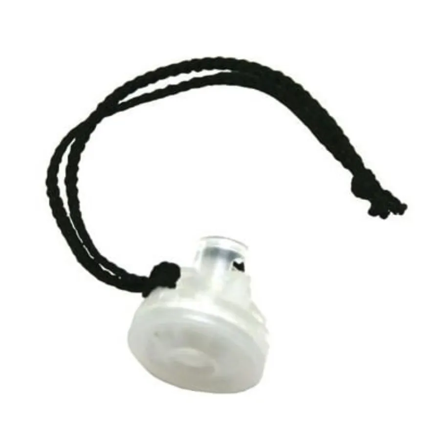 Filtro de Bomba Auxiliar BW M5-AF-K2-100 para GasAlertMax XT II