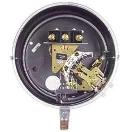 Interruptor de presión de tubo Bourdon Dwyer DS-7231-153-6